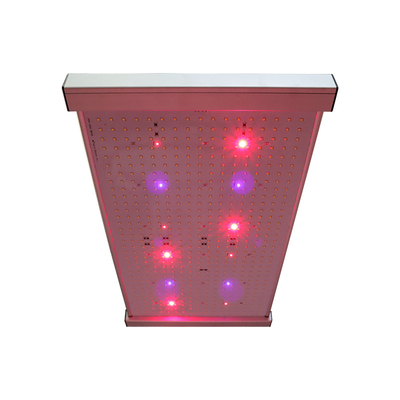Quantum 2x2 LEDは軽く育つ